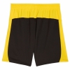 Pantalones Borussia Dortmund 1ª 25-26