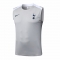 Camiseta de Entrenamiento Tottenham Hotspur Sin Mangas 25-26 Gris