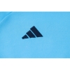 Chandal de Sudadera del Argentina 24-25 Azul