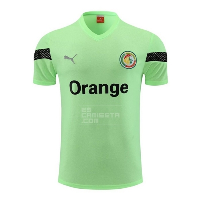 Camiseta de Entrenamiento Senegal 2023-24 Verde