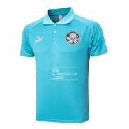 Camiseta Polo del Palmeiras 2023-2024 Verde