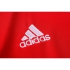Camiseta Polo del Ajax 20-21 Rojo