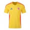 Camiseta Colombia 1ª 2024