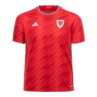 1ª Equipacion Camiseta Gales 2022