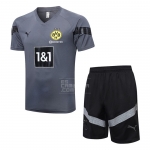 Chandal del Borussia Dortmund Manga Corta 2022-23 Gris - Pantalon Corto Chandal del Borussia Dortmund Manga Corta 2022-23 Gris - Pantalon Corto