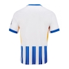 1ª Equipacion Camiseta Brighton & Hove Albion 24-25