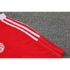 Camiseta Polo del Bayern Munich 22-23 Rojo