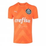 3a Equipacion Camiseta Palmeiras Portero 2022