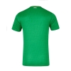 1a Equipacion Camiseta Irlanda 2024 Tailandia