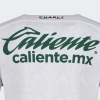 2a Equipacion Camiseta Leon 24-25