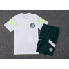 Chandal del Palmeiras Manga Corta 2023-24 Blanco - Pantalon Corto