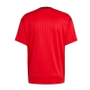 Camiseta Pre Partido del Flamengo 2025 Rojo