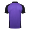 Camiseta Polo del Alemania 24-25 Purpura