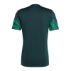 Camiseta Pre Partido del Mexico 2022 Verde