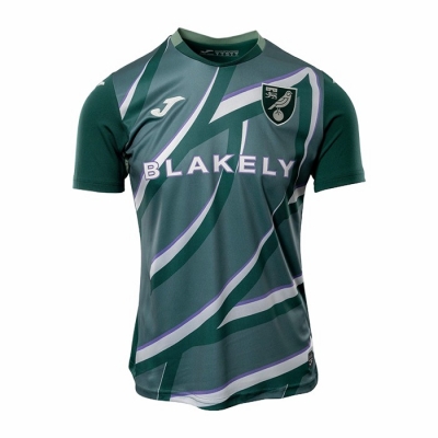 2ª Equipacion Camiseta Norwich City 25-26