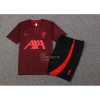 Chandal del Liverpool Manga Corta 2022-2023 Rojo - Pantalon Corto