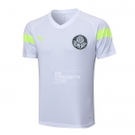 Camiseta de Entrenamiento Palmeiras 2023-24 Blanco