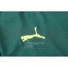 Camiseta de Entrenamiento Palmeiras 20/21 Verde