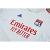 Chandal de Sudadera del Lyon 2022 Gris