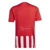 1ª Equipacion Camiseta Union Berlin 22-23 Tailandia