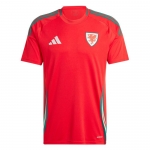 1ª Equipacion Camiseta Gales 2024 Tailandia 1ª Equipacion Camiseta Gales 2024 Tailandia