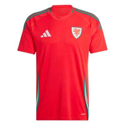 1ª Equipacion Camiseta Gales 2024 Tailandia