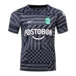 Camiseta Pre Partido del Atletico Nacional 2023 Gris Camiseta Pre Partido del Atletico Nacional 2023 Gris