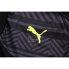 Chaqueta del Borussia Dortmund 2022-23 Gris