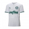 2ª Equipacion Camiseta Palmeiras 2020