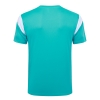 Camiseta de Entrenamiento Olympique Marsella 2023-24 Verde
