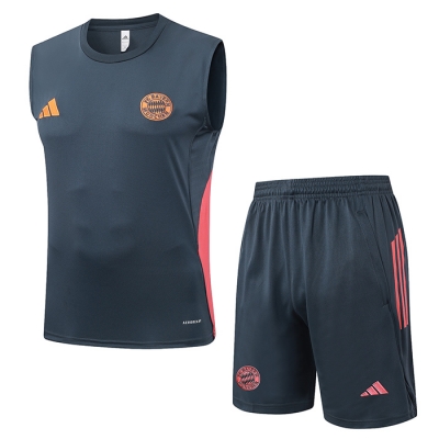 Chandal del Bayern Munich Sin Mangas 25-26 Gris Oscuro