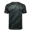 Camiseta de Entrenamiento Paris Saint-Germain Jordan 2024-25 Verde