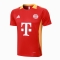 Camiseta de Entrenamiento Bayern Munich 2024-25 Rojo Camiseta de Entrenamiento Bayern Munich 2024-25 Rojo