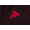Chandal de Sudadera del Bayern Munich 24-25 Rojo Oscuro