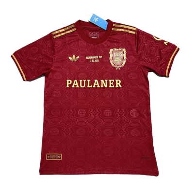 Camiseta Bayern Munich 125 Aniversario 2024 Rojo