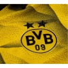 Camiseta Borussia Dortmund Cup 23-24
