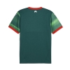 Camiseta Pre Partido del Portugal 2025 Verde