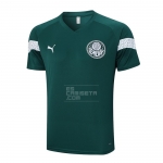Camiseta de Entrenamiento Palmeiras 2023-24 Verde