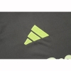Camiseta de Entrenamiento Real Madrid 25-26 Gris Verde