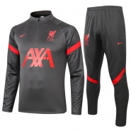 Chandal de Sudadera del Liverpool 20-21 Gris