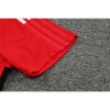 Camiseta Polo del Arsenal 2022-23 Rojo