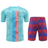 Chandal del Barcelona Manga Corta 2023-24 Azul - Pantalon Corto