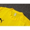 Chandal del Borussia Dortmund Manga Corta 24-25 Amarillo - Pantalon Corto