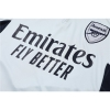 Chandal de Sudadera del Arsenal 22-23 Gris