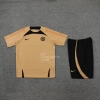 Chandal del Chelsea Manga Corta 22-23 Oro - Pantalon Corto