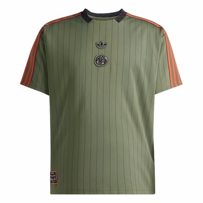 Camiseta Pre Partido del Bayern Munich 25-26 Verde