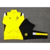 Chandal de Chaqueta del Borussia Dortmund 2023-2024 Amarillo