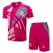 Chandal del Flamengo Manga Corta 25-26 Rosa - Pantalon Corto