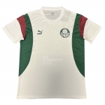 Camiseta de Entrenamiento Palmeiras 2023-2024 Blanco Camiseta de Entrenamiento Palmeiras 2023-2024 Blanco