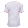2ª Equipacion Camiseta Dinamarca 20-21